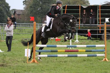 Bild 1437 - WBO-Turnier am 18.9.11